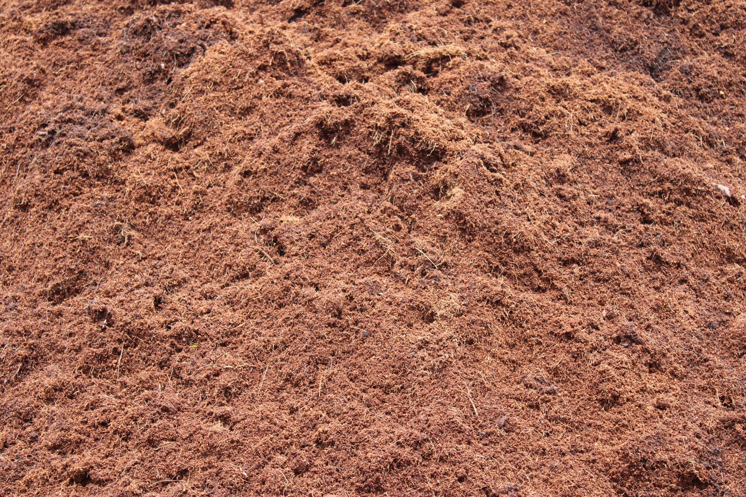 Cocopeat is a 100% natural growing medium made from coconut husk, used in agriculture and horticulture as a soil conditioner or replacement.
