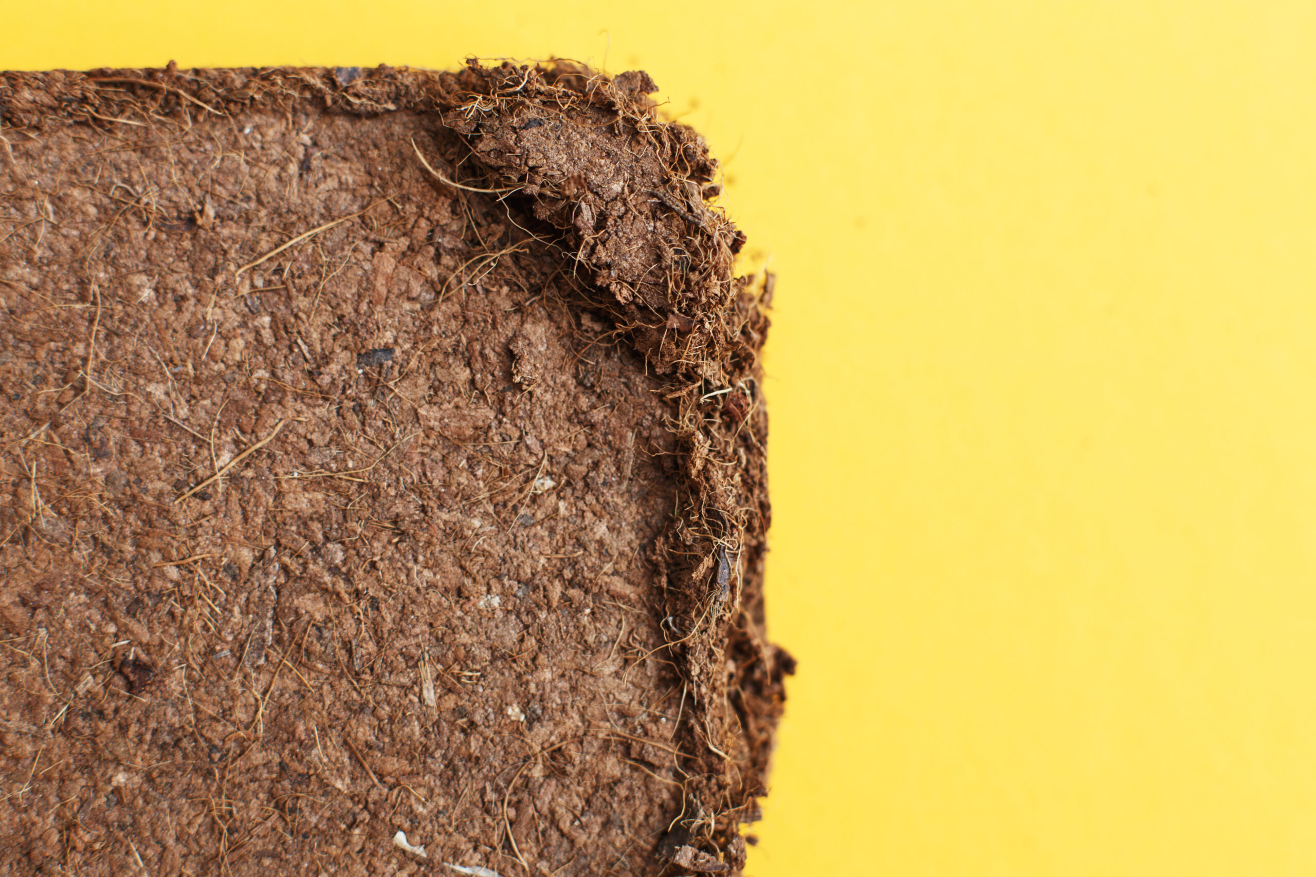 Footer Primary Without Banner