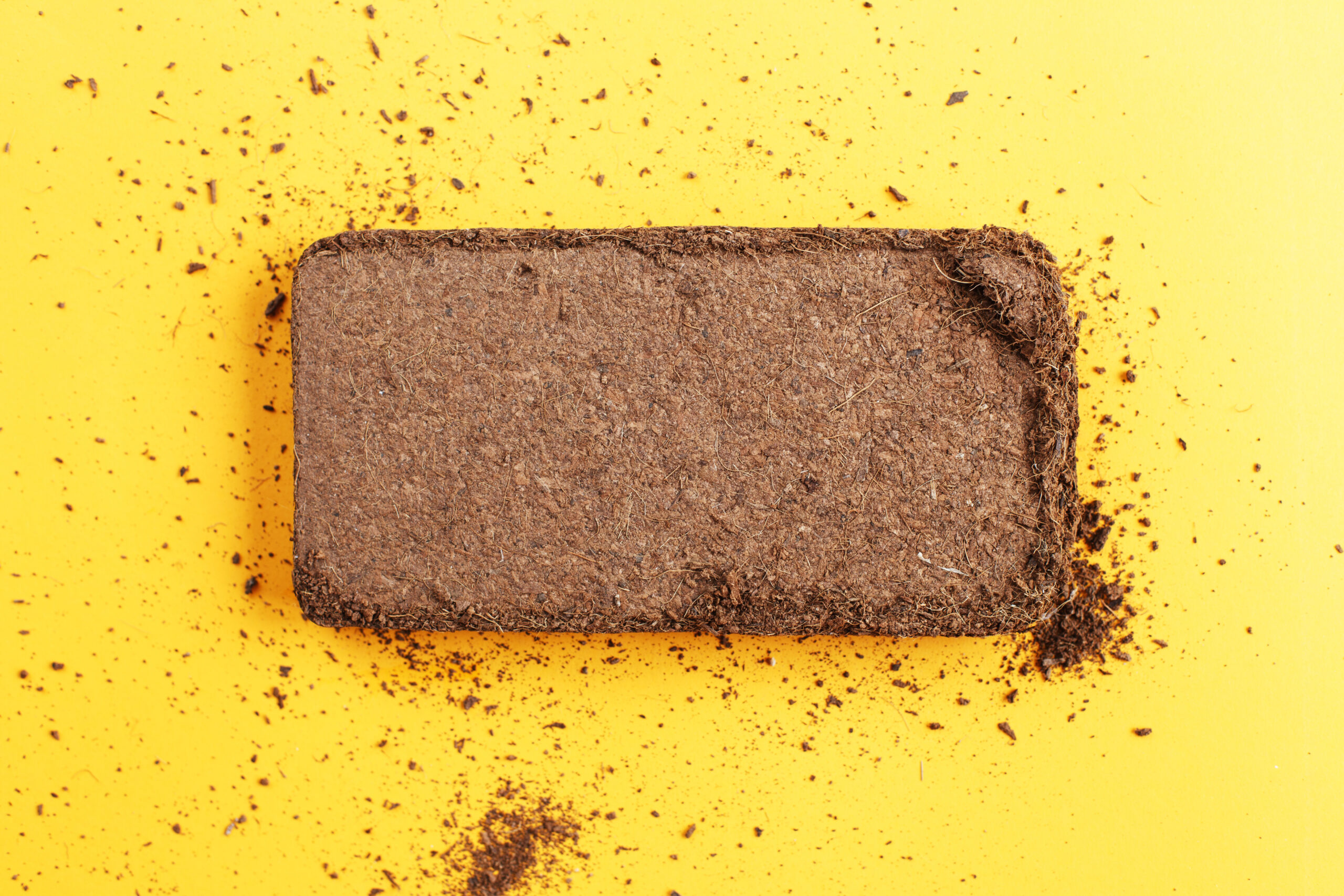 Footer Primary Without Banner