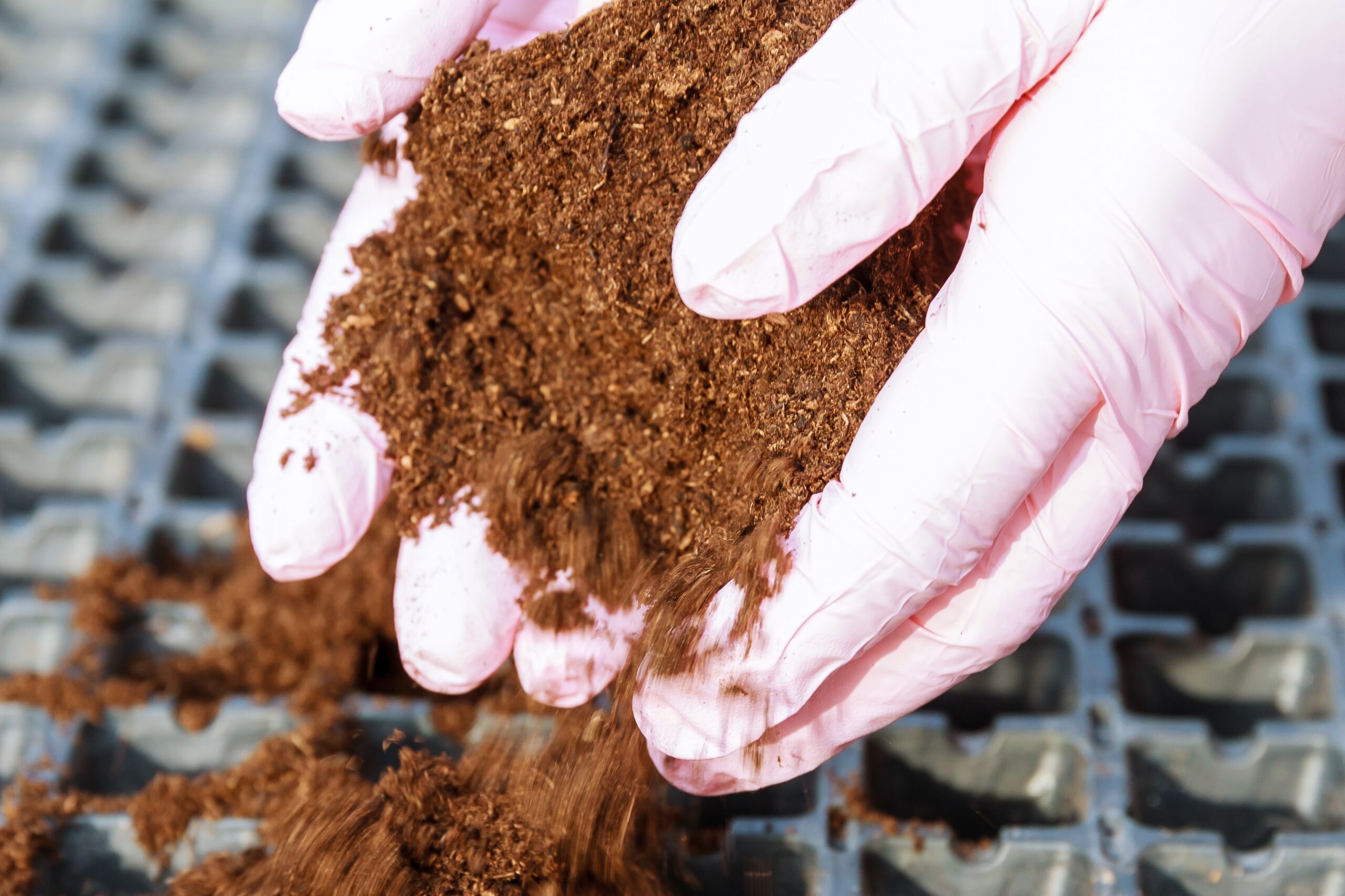 Footer Primary Without Banner