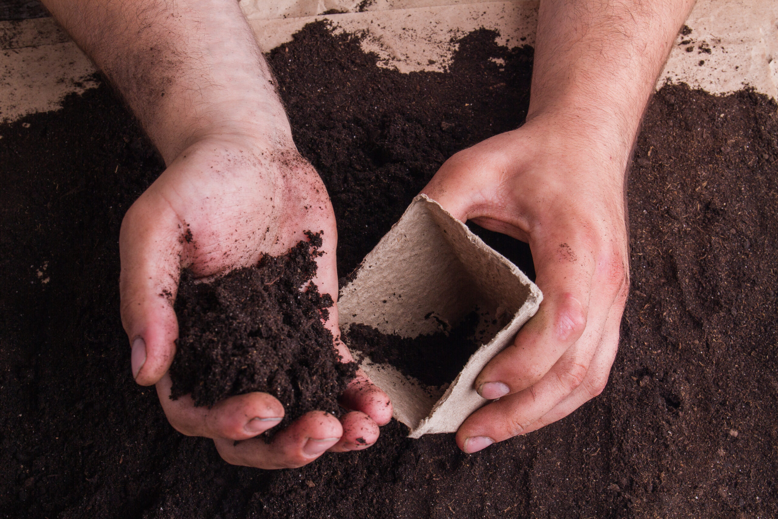soil into fibre pot.